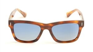 Saphira Men's Polarized & UV Protection Wayfarer Sunglasses