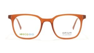 Pumpkin Spice Unisex Square Opticals